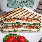 BenFit High Protein-Toast (natur, glutenfrei) - 8